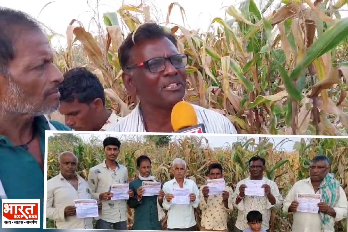 Khargone Corn Farmers