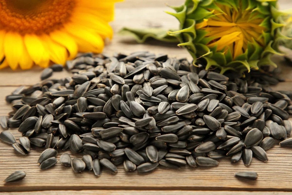 Sunflower Seeds Benefits