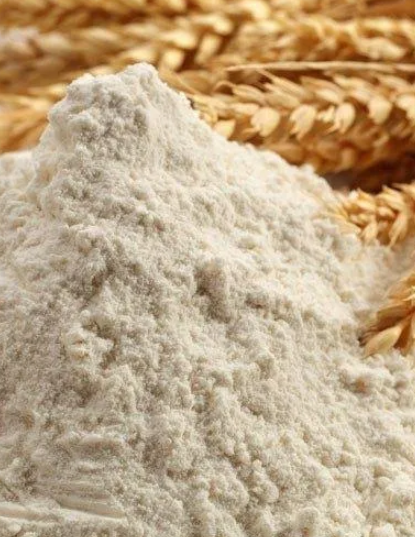 real vs fake wheat flour