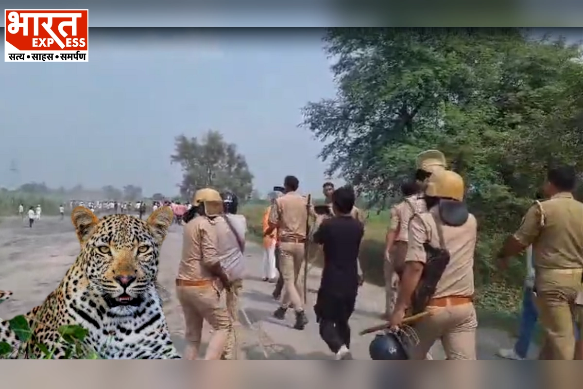 Leopard ने यूपी के लखीमपुर खीरी में मचाया कोहराम, बच्‍चे की मौत के बाद ग्रामीणों का प्रदर्शन; पुलिस पर हुआ पथराव