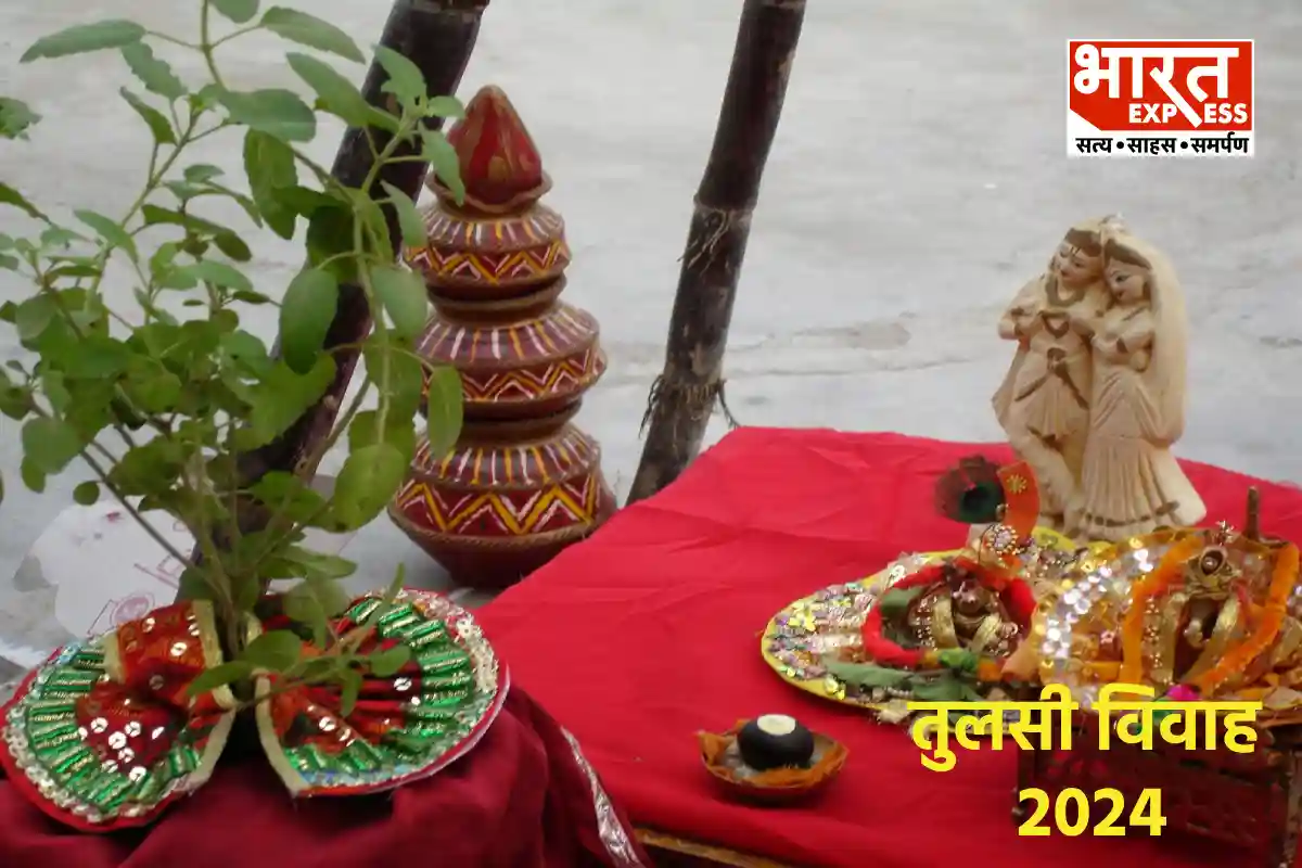 Tulsi Vivah 2024: तुलसी विवाह पर 2 खास संयोग, नोट कर लें डेट और शुभ मुहूर्त