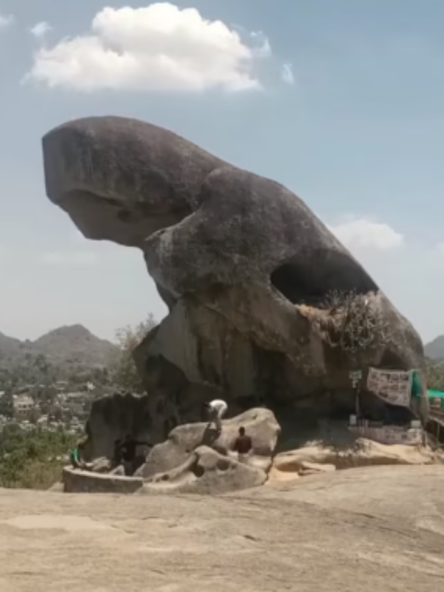 माउंट आबू के पास मौजूद है मेंढक की आकृति वाला ‘Toad Rock’, आपने देखा है क्या?