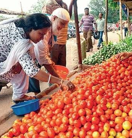 Tomato Price Hike