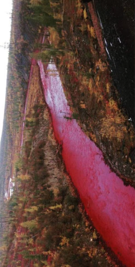 River in Russia Turns Red