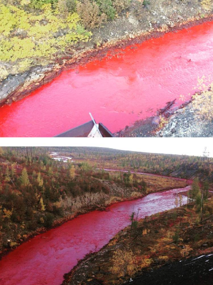 River in Russia Turns Red