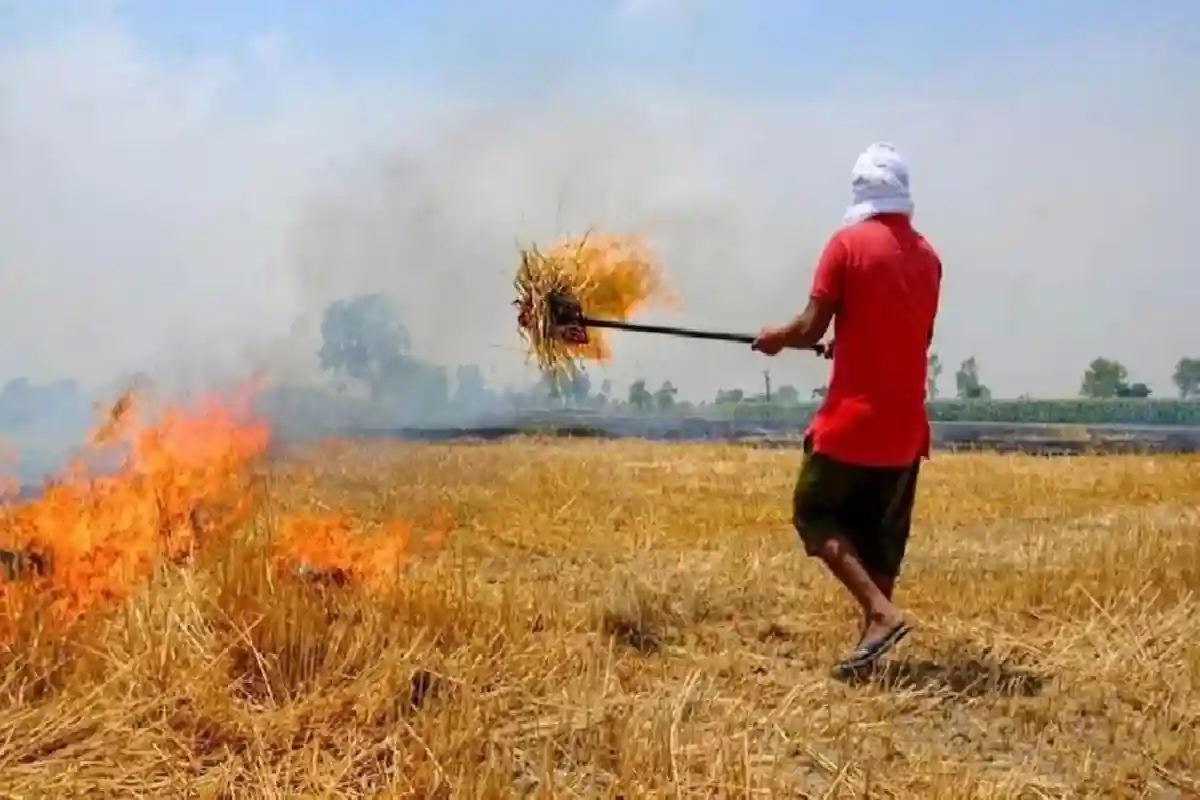 stubble burning