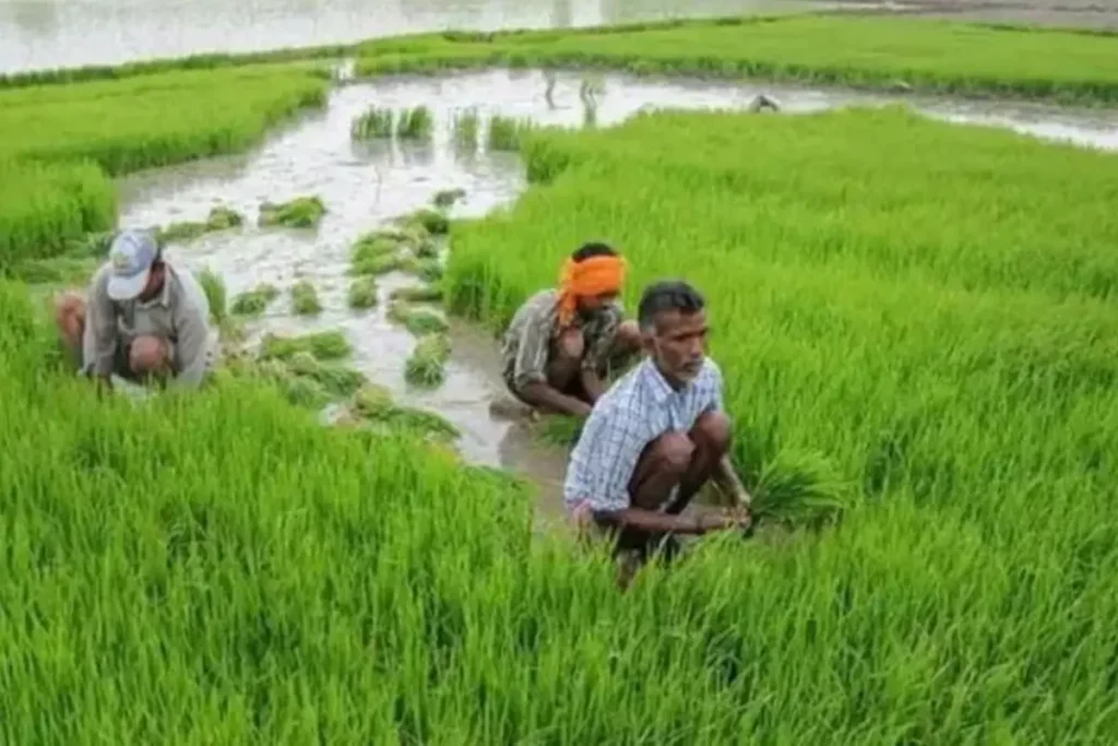 PM Kisan Yojana