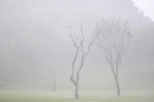 Pollution: फिर खराब हुई दिल्‍ली की हवा, ‘गंभीर’ श्रेणी में पहुंचा AQI