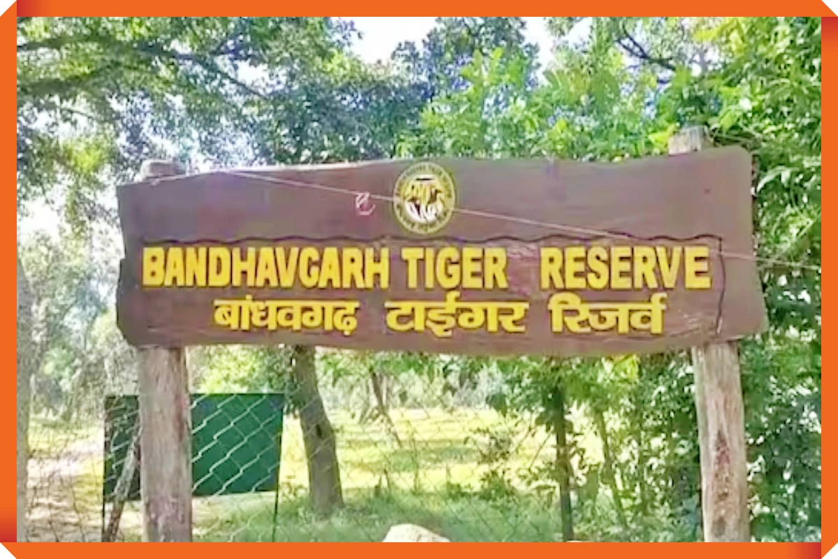 Bandhavgarh Tiger Reserve