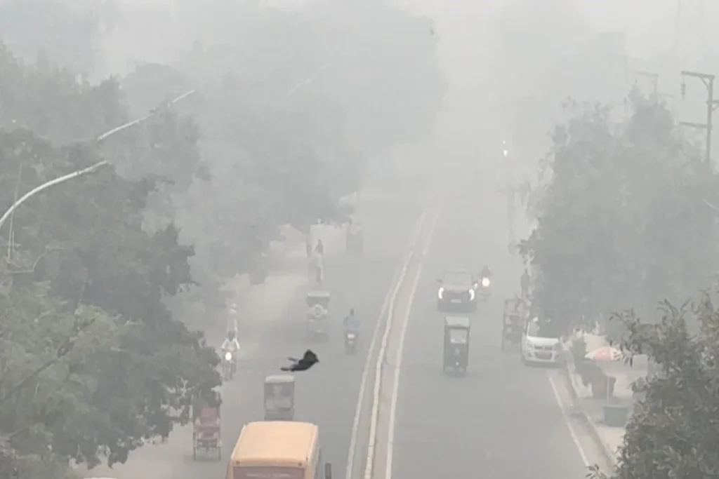 Delhi