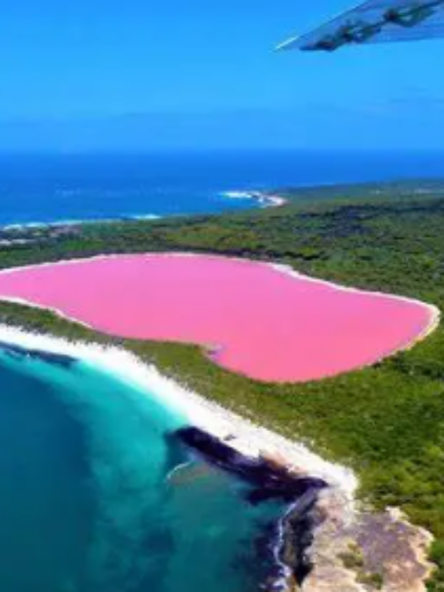 ये है दुनिया का सबसे आकर्षक Pink Lake, जानें क्यों है इस झील का पानी गुलाबी?