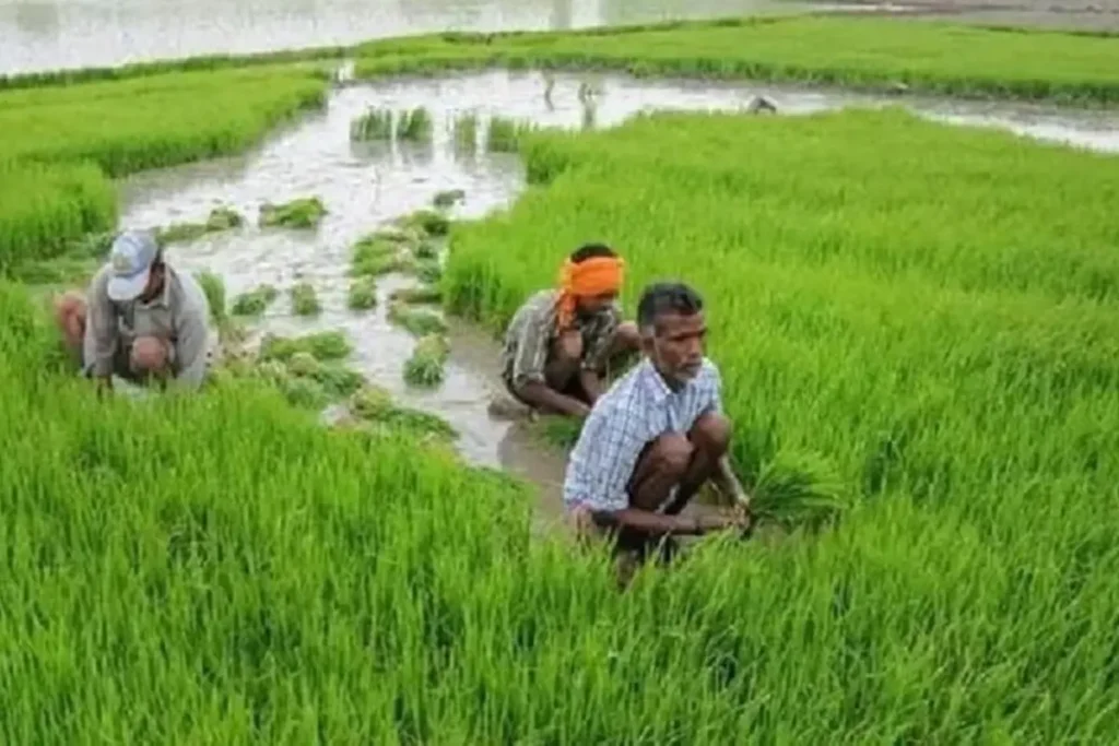 PM Kisan Yojana