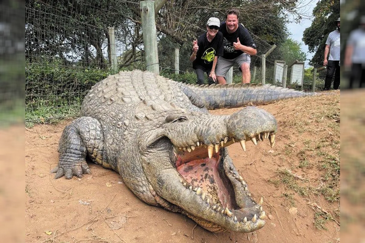 World's Oldest Crocodile Henry