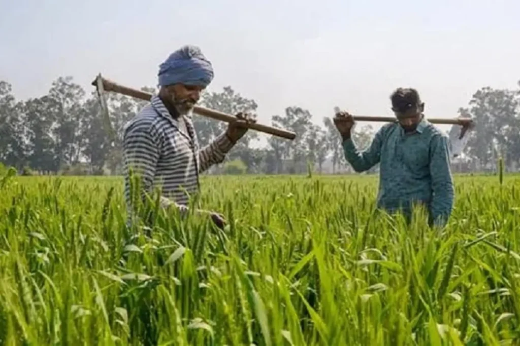 Farmers' income will increase