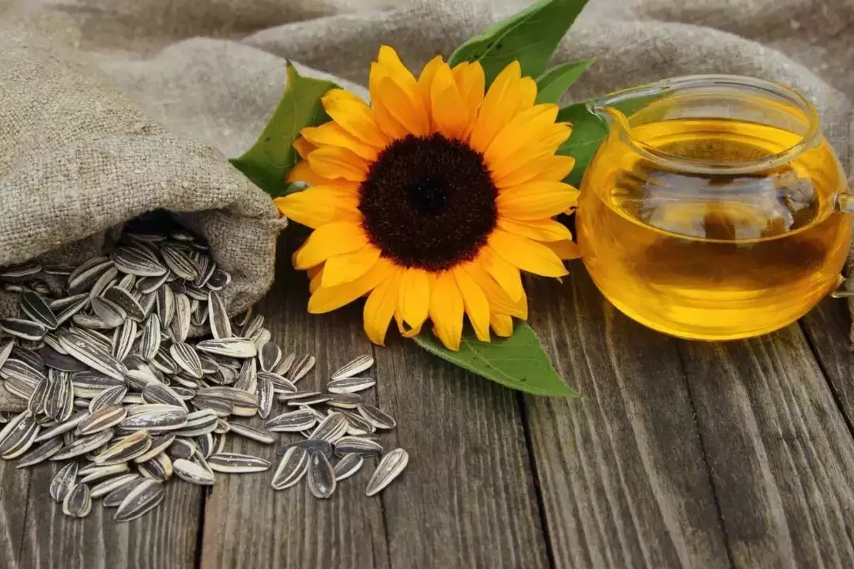 Sunflower seeds