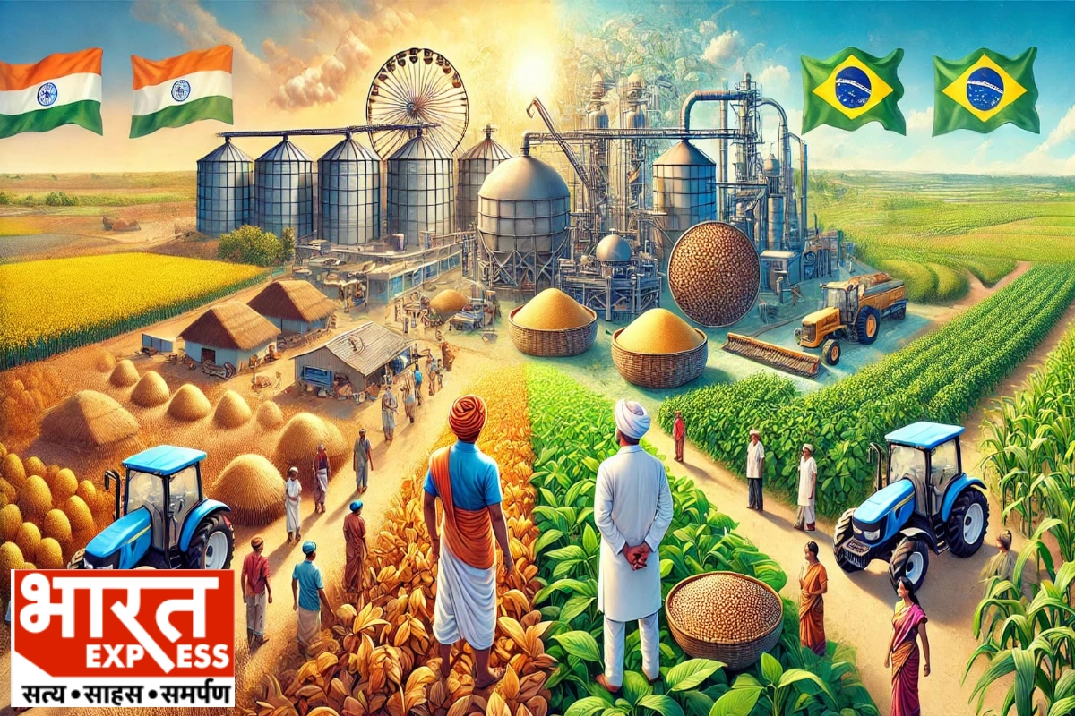 Brazil and India Collab