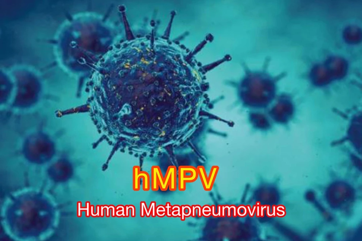 Human Metapneumovirus