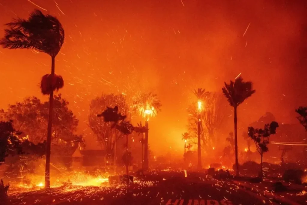 Los Angeles Fire