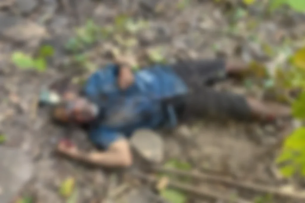 Naxalites killed