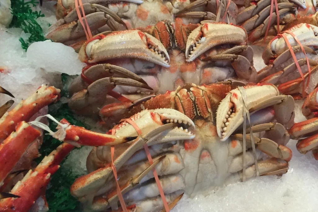 Sea Food