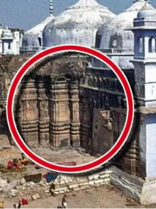 जान लीजिए बिना खुदाई ASI कैसे बताता है कि जमीन के अंदर मंदिर है या मस्जिद?