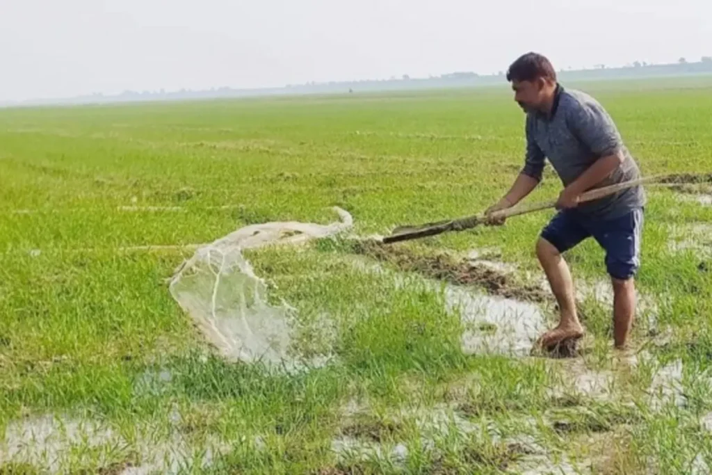 Kisan Samman Yojana