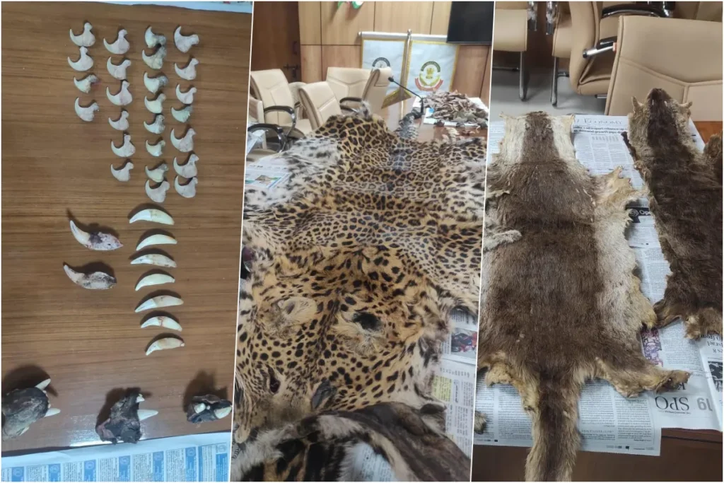 wildlife smuggling