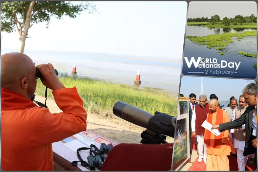 cm yogi World Wetlands Day