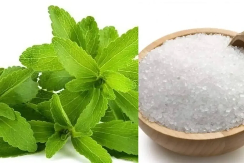 stevia benefits