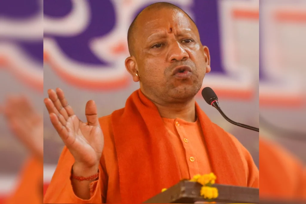 yogi