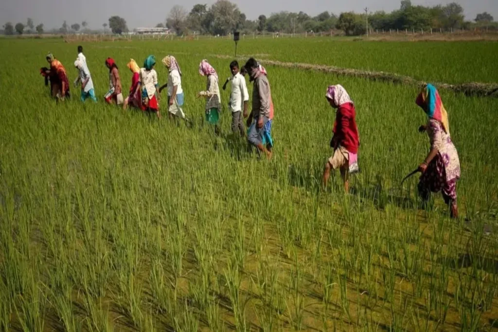 Agri & processed food exports