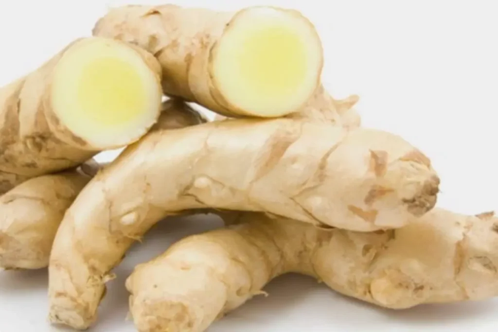 White Turmeric