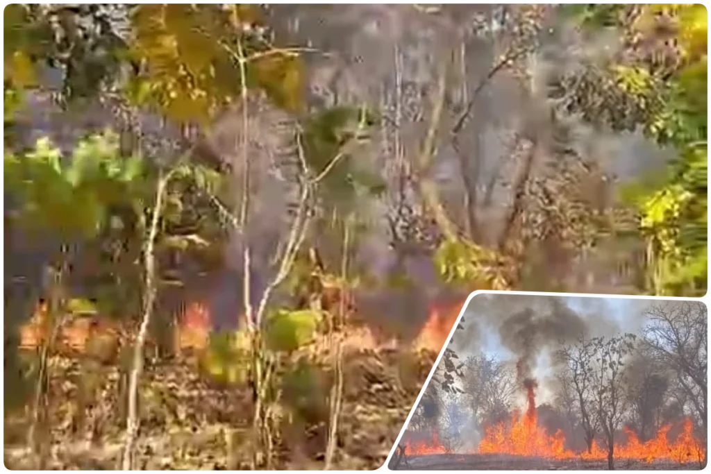 Ayodhya Forest Fire