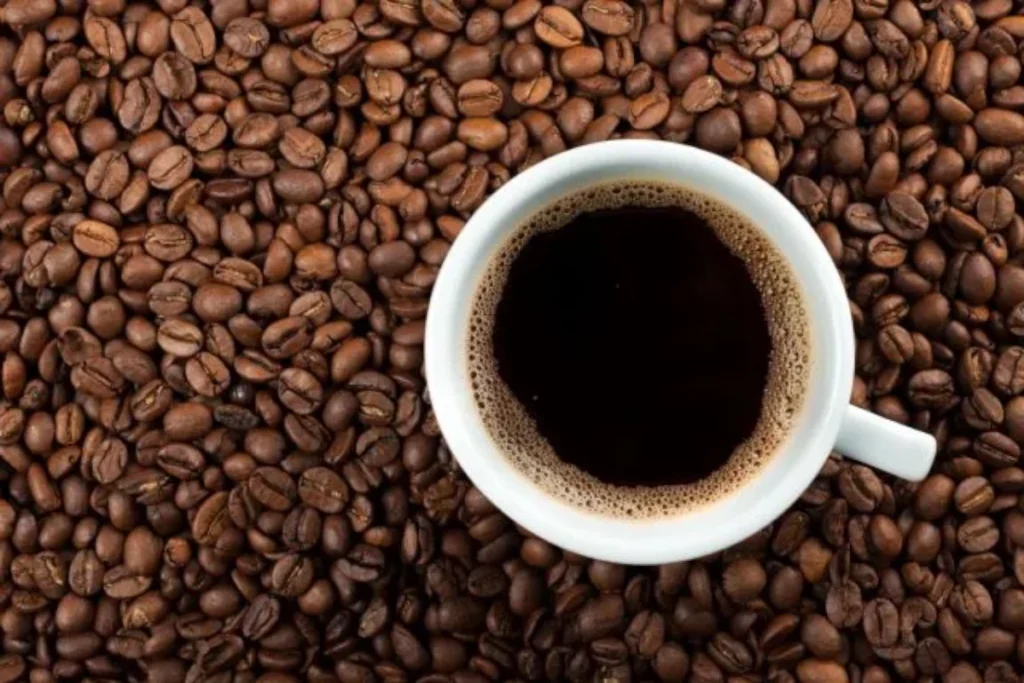 India Coffee Industry