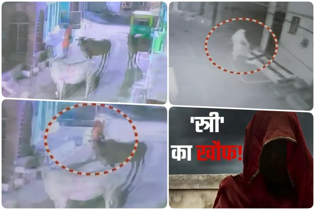 Mysterious Woman In Gwalior (2)