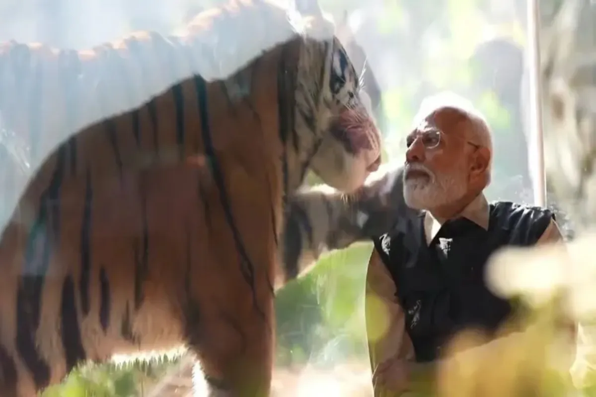 PM Modi Wildlife Rescue Centre Vantara, Gujarat