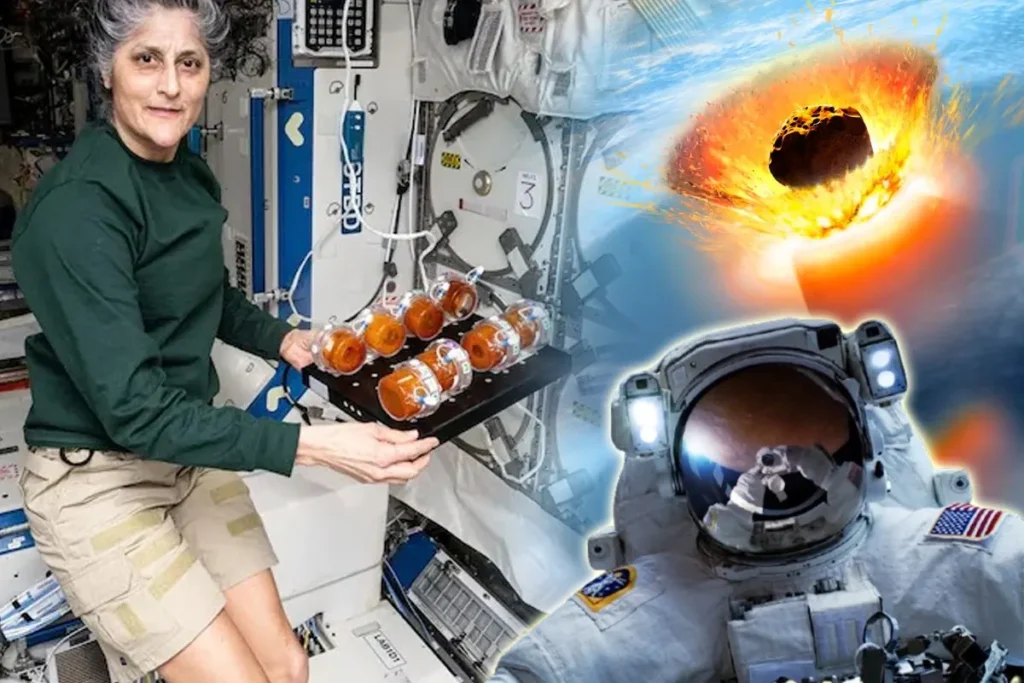 sunita williams