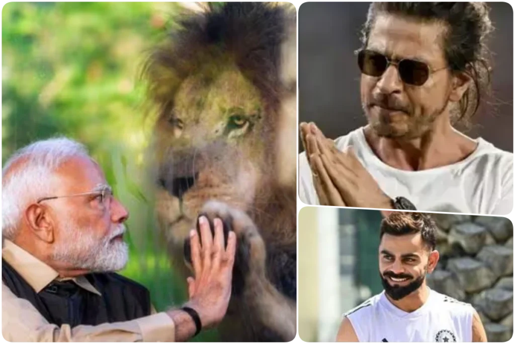 pm modi Shah Rukh Khan, Virat Kohli