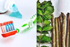 क्या आप जानते हैं ब्रश से ज्यादा क्यों बेहतर है दातुन? किस महीने में किसका करें इस्तेमाल, फायदे जानकर चौंक जाएंगे आप