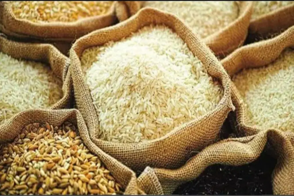 India agricultural exports