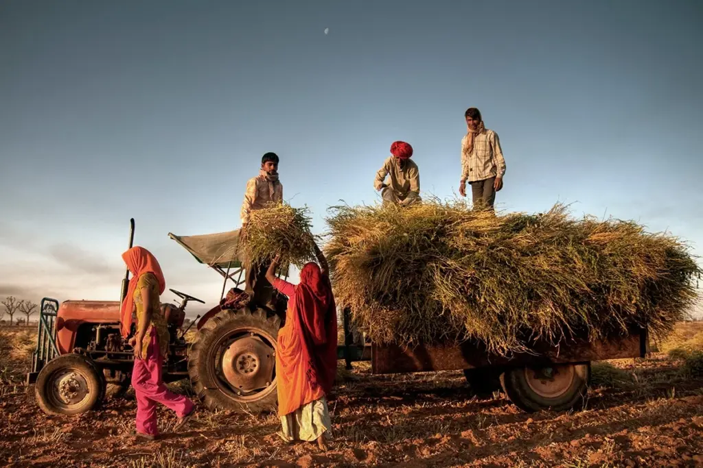 Rural India Development