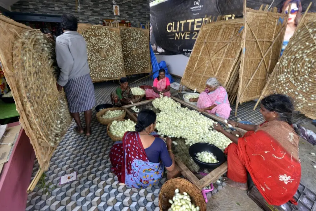 Silk Industry