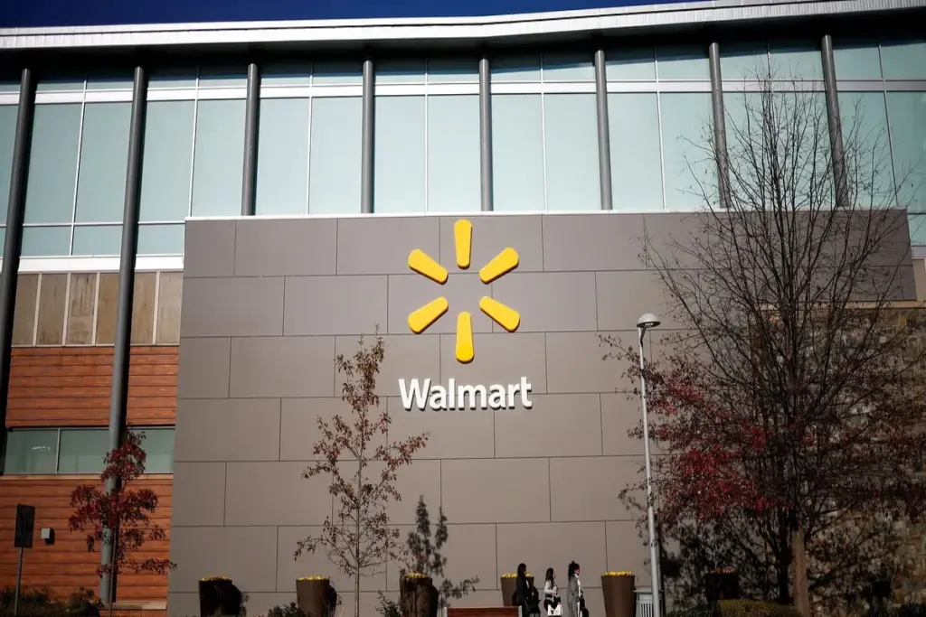 Walmart India Expansion