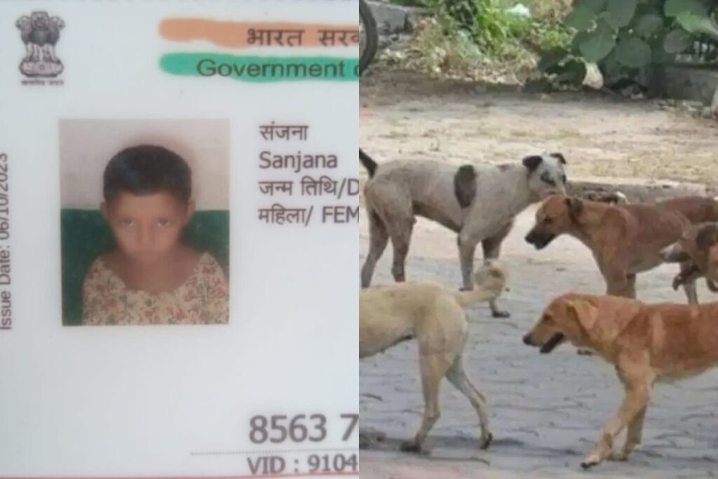 Stray dogs attacked a 7 year old innocent in Amroha