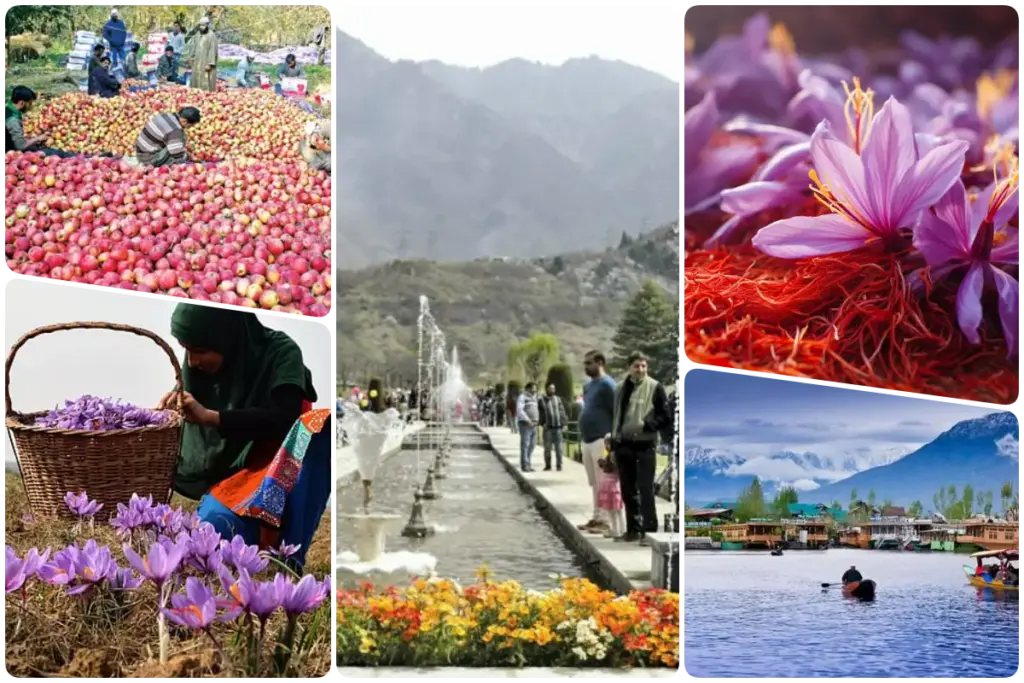 Jammu Kashmir