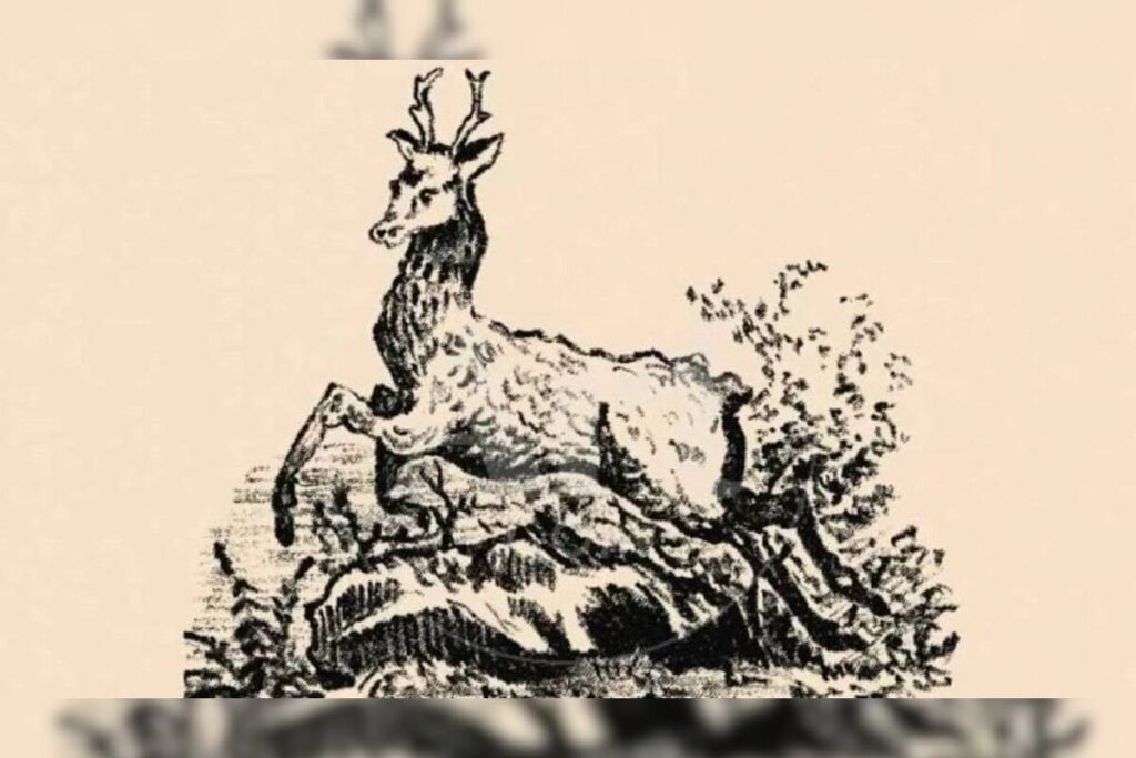Khojo Toh Jaane
