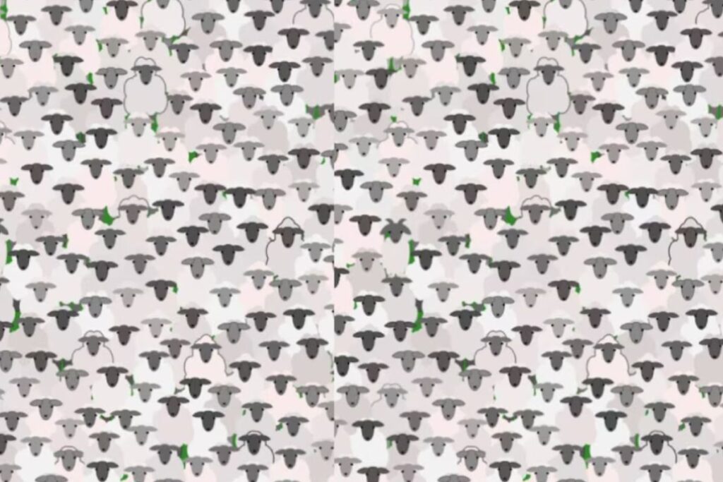 Picture Puzzle