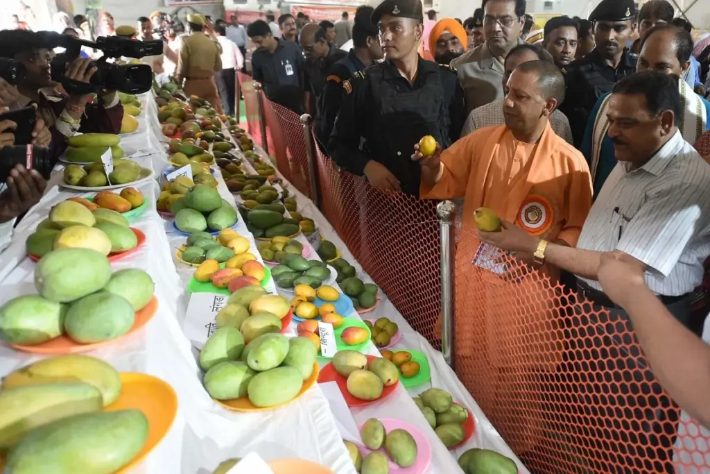 mango tree indian