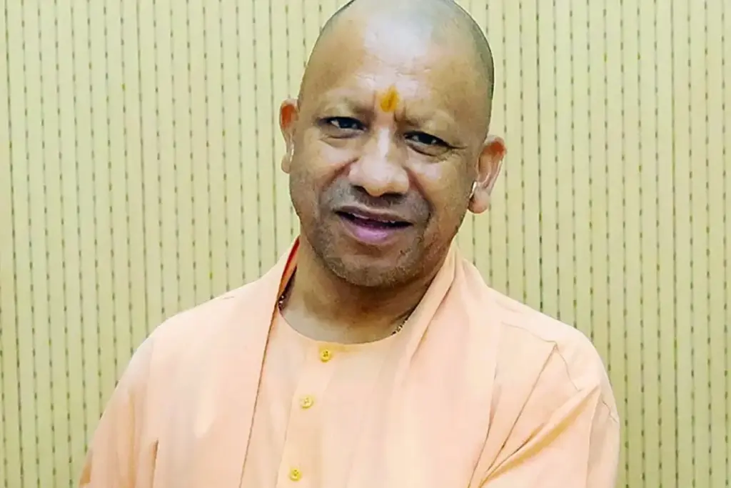 yogi