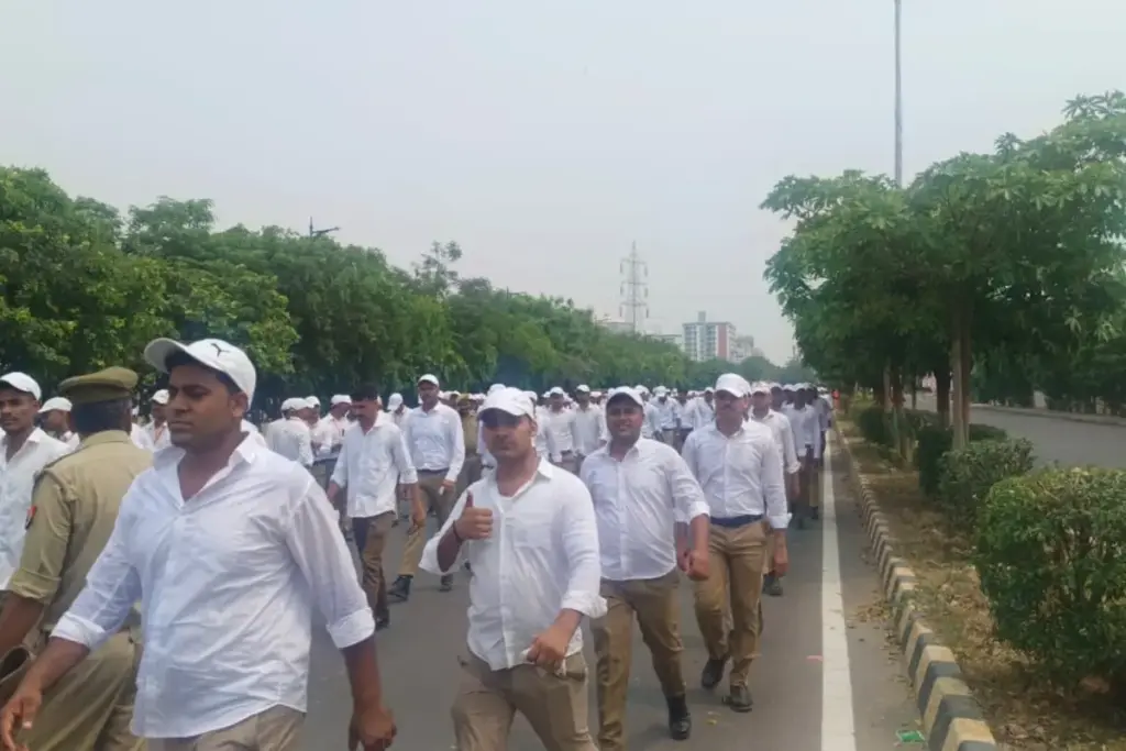 UP Government Jobs